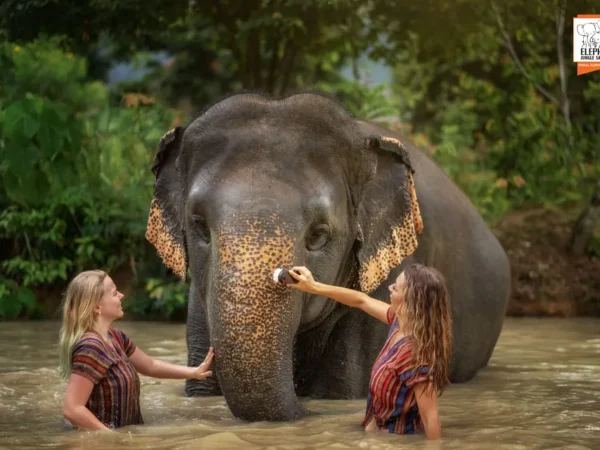 “Shimla Blissful Getaway” 4Night 5Days